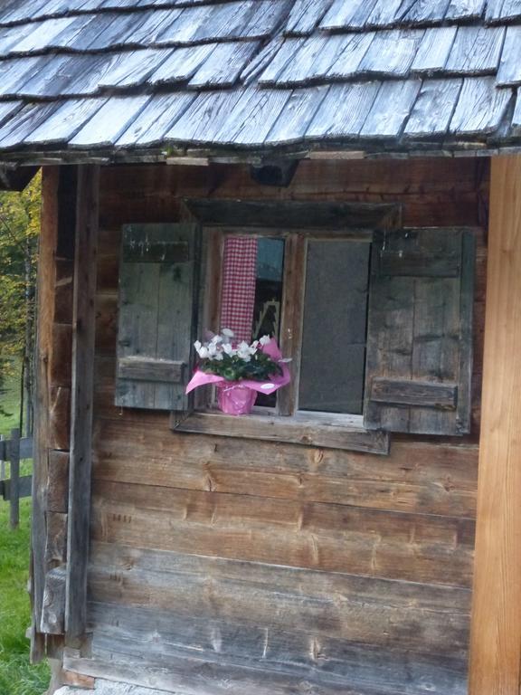 Вилла Bio-Urlaubshof Dansbach Шпиталь-ам-Пихрн Экстерьер фото