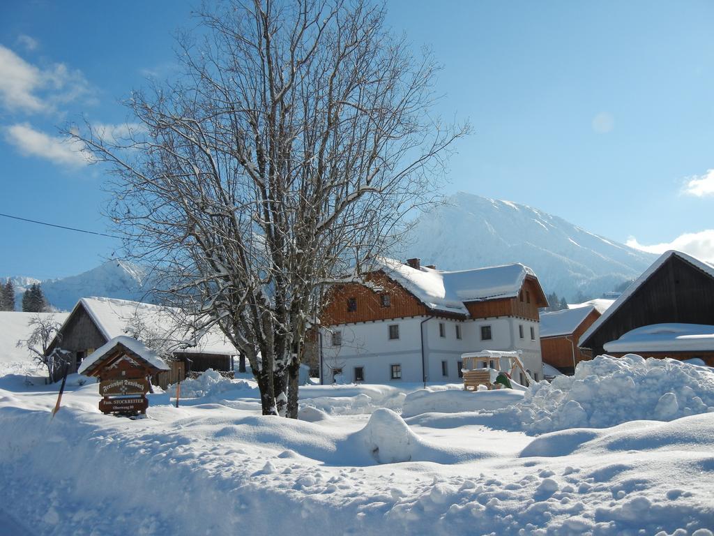Вилла Bio-Urlaubshof Dansbach Шпиталь-ам-Пихрн Номер фото
