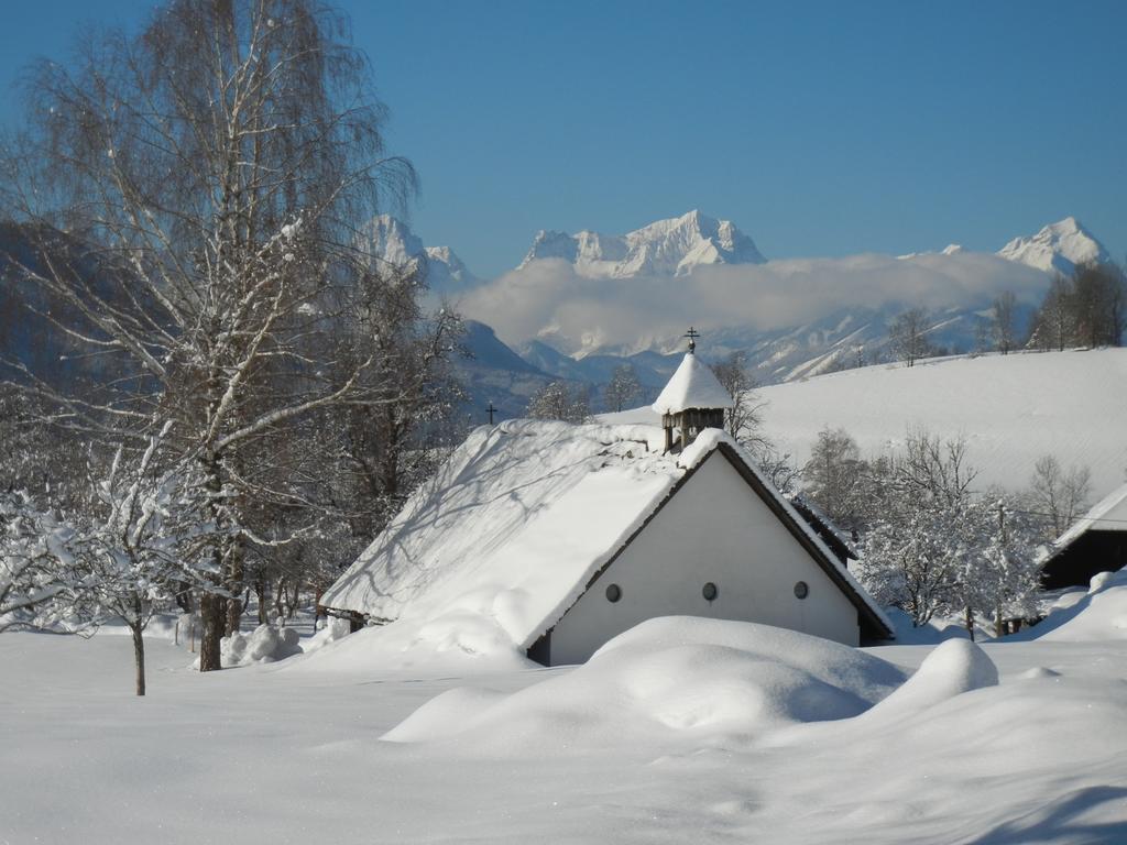 Вилла Bio-Urlaubshof Dansbach Шпиталь-ам-Пихрн Экстерьер фото