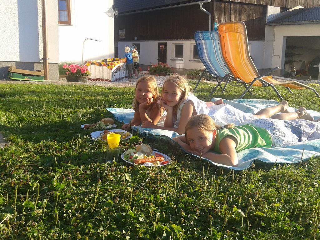 Вилла Bio-Urlaubshof Dansbach Шпиталь-ам-Пихрн Экстерьер фото