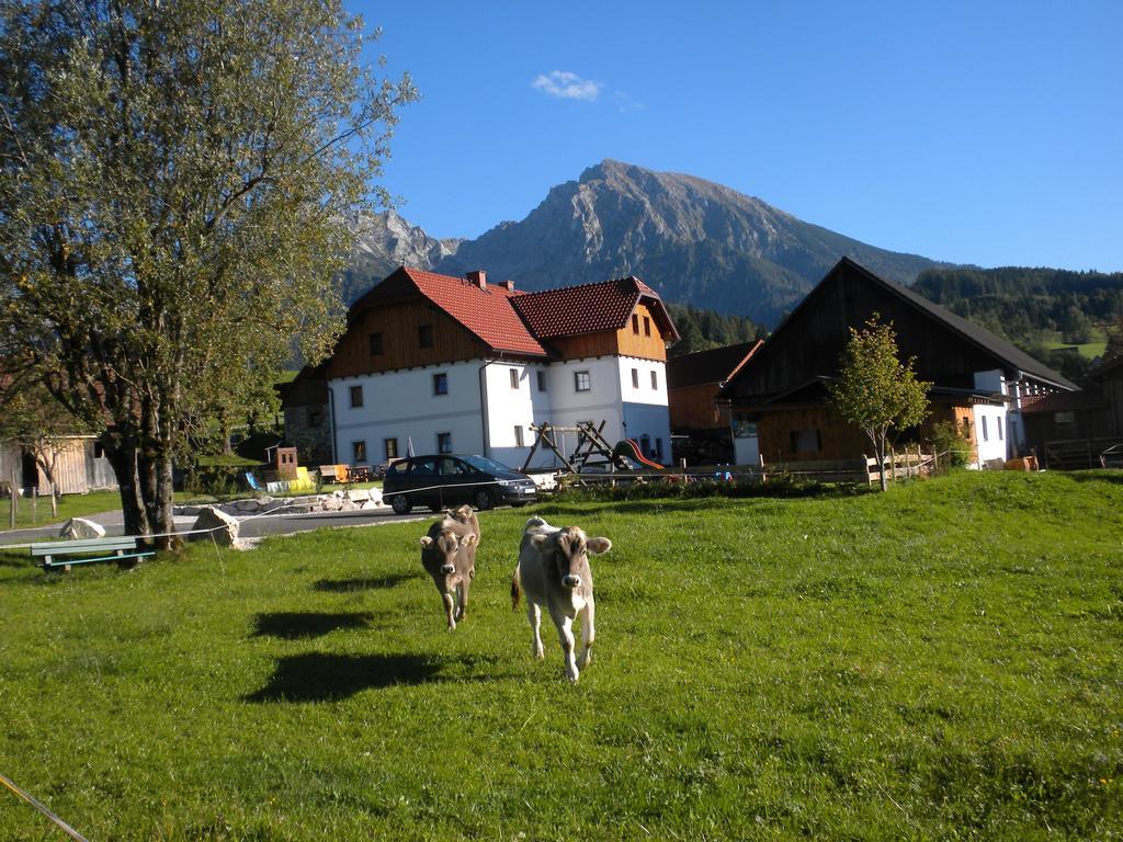 Вилла Bio-Urlaubshof Dansbach Шпиталь-ам-Пихрн Экстерьер фото